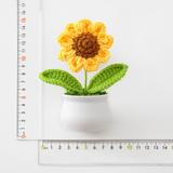 Potted Sunflower