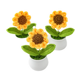 Potted Sunflower