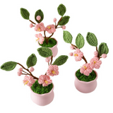 Potted Cherry Blossom