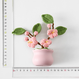 Potted Cherry Blossom