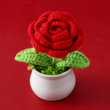 Potted Rose