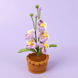 Luxury Potted Orchid